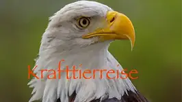 Krafttierreise – Heilung für deine Seele mit Annette Thomas, Systemische Beratung & Schamanismus