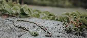 5 Tage Basenfasten Plus mit Yoga und Entspannung mit Nadine