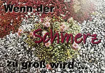 Workshop Wenn der Schmerz zu groß wird... mit Uta Weidauer