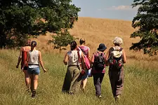 Wildkräuterspaziergang Beeren und Wurzeln mit Sandra Schneider