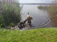 Fastenwandern mit Hund in "Amy´s Wohlfühlvilla" an der Mecklenburgischen Seenplatte mit Kati Walther