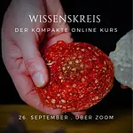 Online-Wissenskreis zum Glückspilz – Dein kompakter Online-Kurs zum Fliegenpilz 🍄 mit Sylvia Hansen
