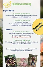 Heilpilzwanderung mit Michael Reisinger