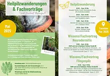 Heilpilzwanderung mit Michael Reisinger