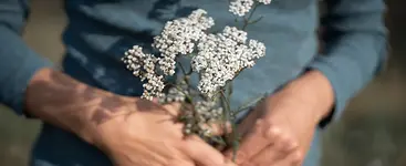 Kraut und Yoga Wochenende mit Claudia Fröhlich und Wiebke Kallensee