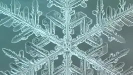 Frauenkreis Chemnitz + Weihnachtsbasar