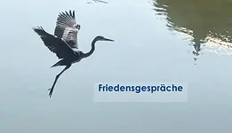 Netzwerktreffen Dresden-Elbland: Impuls zum Thema Friedensgespräche – innerer und äußerer Frieden – zu Gast bei Frank-Ole Haake