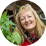 Wildpflanzen Workshop – Frühlingszauber mit Giersch, Brennnessel, Vogelmiere und Gundermann mit Katrin Dechant