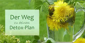 Mitmach-Seminar Der Weg zu deinem Detox-Plan mit Frank Exter