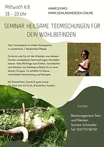 Seminar Heilsame Teemischungen für Dein Wohlbefinden mit Sandra Schneider