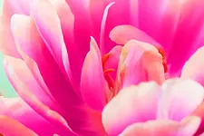 Frauenretreat Liebe – Sexuelle Liebe – Deine Auszeit in der Stille mit Doris Schaar, Grit & Anja