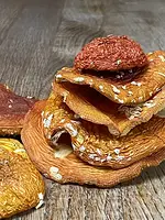 Informationsabend: Microdosing mit Amanita – 🍄 Der Fliegenpilz als Wegbegleiter zur inneren Klarheit mit Thomas Becher