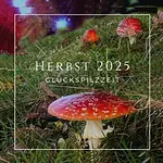 Amanita – Infoabend und Live-Vortrag mit Sylvia Hansen