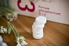 Schüßler-Salze für die ganzheitliche Anwendung bei Tieren mit Gerald Wawra