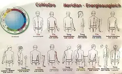 Sonderseminar „Das 1x1 der Energiemeridianmassage” mit Corina Wohlfei-Großer