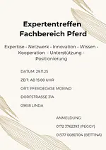 Expertentreffen Fachbereich Pferd mit Peggy Schädlich