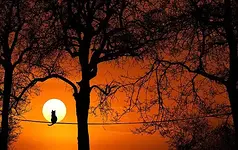 Klangreise Novembernebel mit Anke Heß