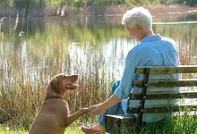 Beginn Schamanenausbildung zur inneren spirituellen Suche (4 Module) mit Dr. Martina Lucht