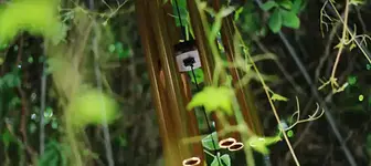 Klang- und Durfreise mit Peggy Schädlich