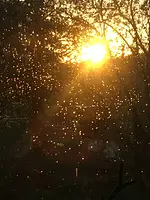 Jahreskreisfest Wintersonnenwende mit Anja Günther