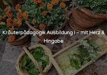 Start Heil- & Wildpflanzenpädagogik I in 6 Modulen mit Heil- & Wildkräuterakademie e.V.
