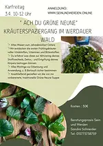 Wildkräuterspaziergang „Ach du Grüne Neune!“ im Werdauer Wald mit Sandra Schneider