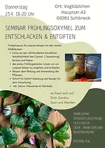 Seminar Frühlings-Oxymel – Wilde Naturapotheke – Entschlacken, Entgiften und Frühlingsfit mit Oxymel und Wildkräutern mit Sandra Schneider
