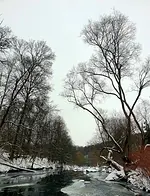 Stille Wanderung zu Vollmond, Imbloc, Lichtmess mit Eisbaden und Mama Kakao am Ufer der Chemnitz mit Sven István