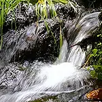 Workshop: Sinne – dein Kontakt zu dir und der Welt – Entwicklungskinesiologie (3 Abende) mit Anja Planken