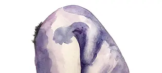 Einführungskurs Sexological Bodywork – im Kurzformat für Ausbildungsinteressierte am ISB Berlin (Institut für Somatische Bildung, Sexualität und Körperarbeit) mit Zaf Roser & Nino Mar Seliz