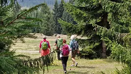 Fastenwandern im Westerzgebirge mit Diana Baumgartl-Klemm