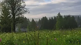 Fastenwandern im Westerzgebirge mit Diana Baumgartl-Klemm