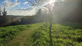 Fasten | Wandern | Leichtigkeit mit Claudia Messerschmidt