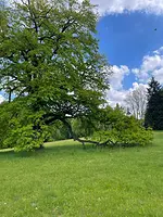 Geomantische Wanderung –
Kloster Wechselburg mit Jens Winter