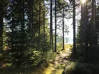 Fastenwandern im Westerzgebirge mit Michaela Drewitz