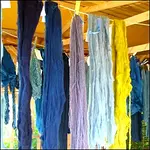 Die Welt der Farben – „Wilde Farben – Färben mit Wild- & Heilpflanzen“ mit Kräuterfrau Elisabeth Püschmann
